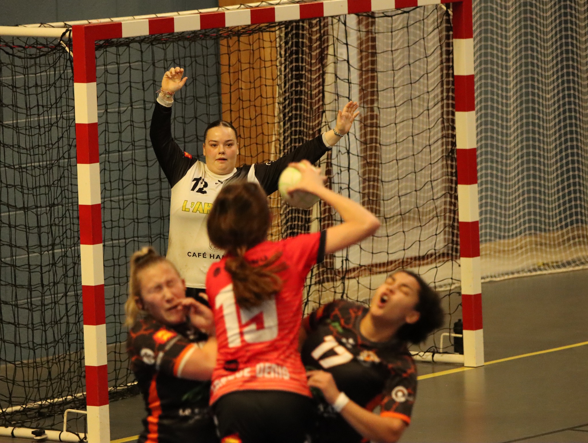 Photos - Séniors Féminines - ALCL Handball