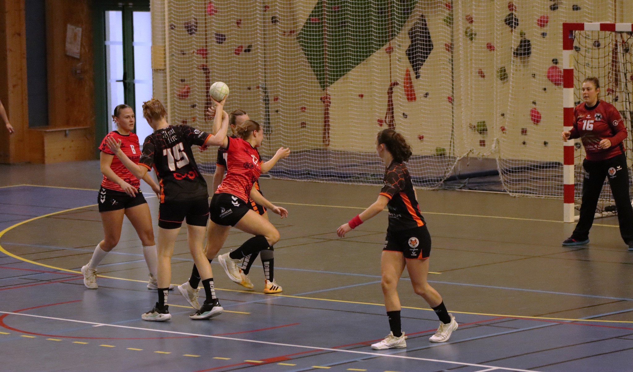 Photos - Séniors Féminines - ALCL Handball